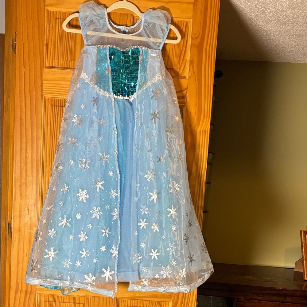 Trish Scull Princess Elsa Frozen Dress